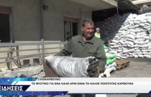 ΞΥΛΟΚΑΡΒΟΥΝΟ ΜΠΑΜΠΟΣ