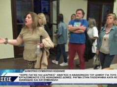 ΔΗΜΟΤΙΚΟ ΣΥΜΒΟΥΛΙΟ ΚΟΖΑΝΗΣ ΓΙΑ ΚΟΙΝΩΝΙΚΕΣ ΔΟΜΕΣ