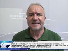 ΔΗΜΟΤΙΚΟ ΣΥΜΒΟΥΛΙΟ ΚΟΖΑΝΗΣ ΑΠΟΛΟΓΙΣΜΟΣ