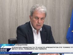 ΓΙΩΡΓΟΣ ΑΜΑΝΑΤΙΔΗΣ ΓΙΑ ΑΡΜΟΔΙΟΤΗΤΕΣ ΤΕΧΝΙΚΕΣ ΥΠΗΡΕΣΙΕΣ