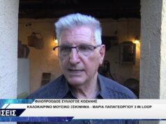 ΦΙΛΟΠΡΟΟΔΟΣ ΣΥΛΛΟΓΟΣ ΚΟΖΑΝΗΣ ΜΑΡΙΑ ΠΑΠΑΓΕΩΡΓΙΟΥ