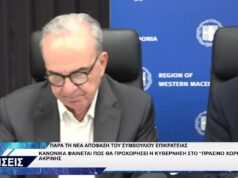 ΝΙΚΟΣ ΠΑΠΑΘΑΝΑΣΗΣ ΓΙΑ ΑΚΡΙΝΗ