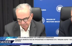 ΝΙΚΟΣ ΠΑΠΑΘΑΝΑΣΗΣ ΓΙΑ ΑΚΡΙΝΗ