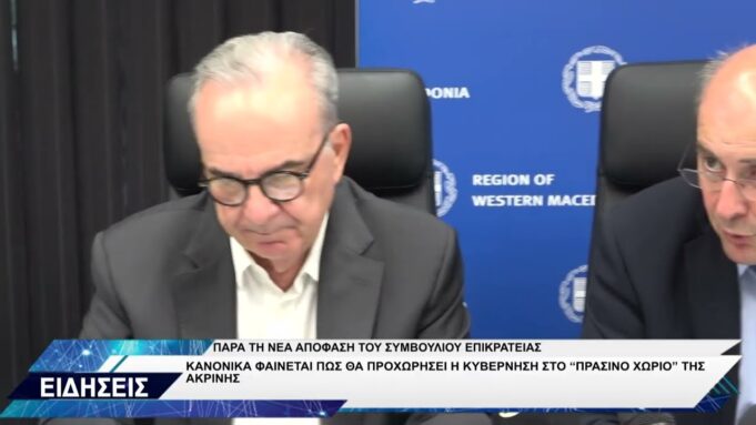 ΝΙΚΟΣ ΠΑΠΑΘΑΝΑΣΗΣ ΓΙΑ ΑΚΡΙΝΗ