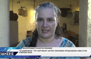 ΦΙΛΟΠΡΟΟΔΟΣ ΣΥΛΛΟΓΟΣ ΚΟΖΑΝΗΣ ΚΙΝΗΜΑΤΟΓΡΑΦΙΚΗ ΠΡΟΒΟΛΗ