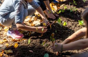 Carbon Farming Schools 2025: ΔΕΗ και Open Farm προωθούν τη βιώσιμη γεωργία στους μαθητές